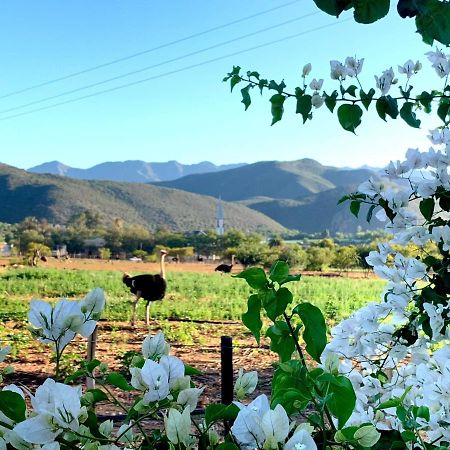 Berluda Farmhouse And Cottages Oudtshoorn Exterior foto