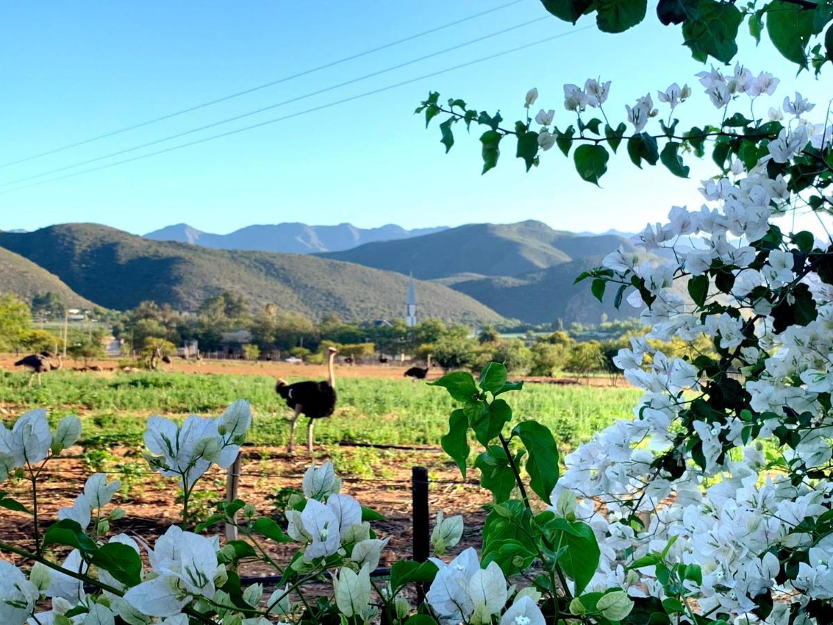 Berluda Farmhouse And Cottages Oudtshoorn Exterior foto